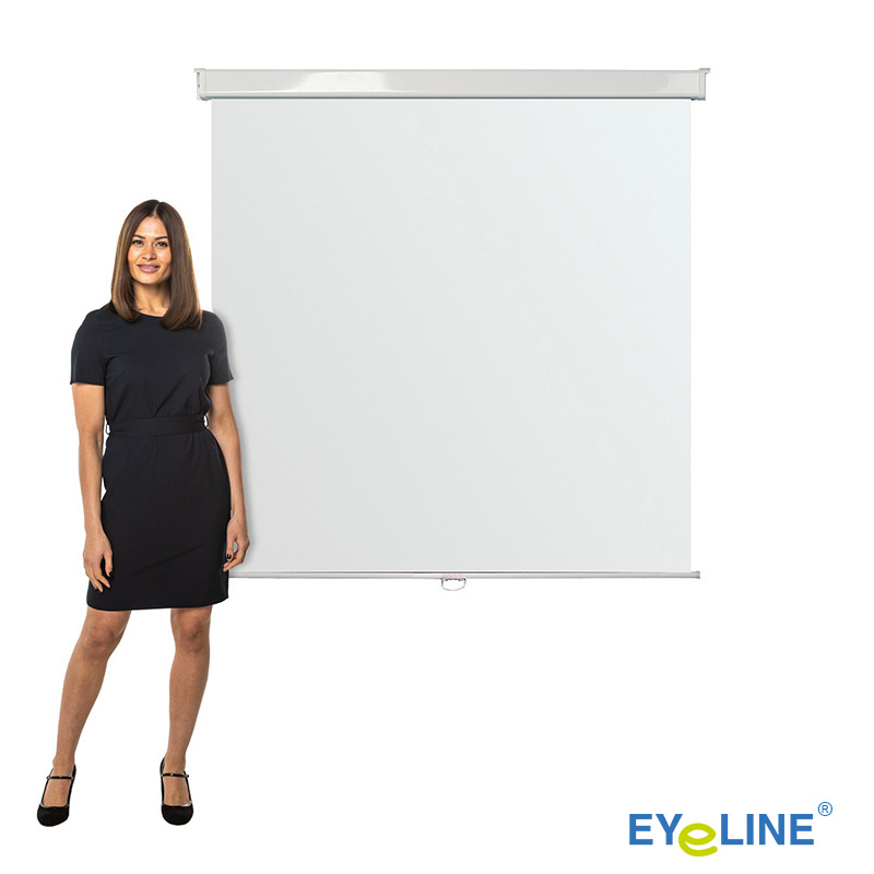 Wall Mounted Manual Projection Screens Wonderwall Products Ltd